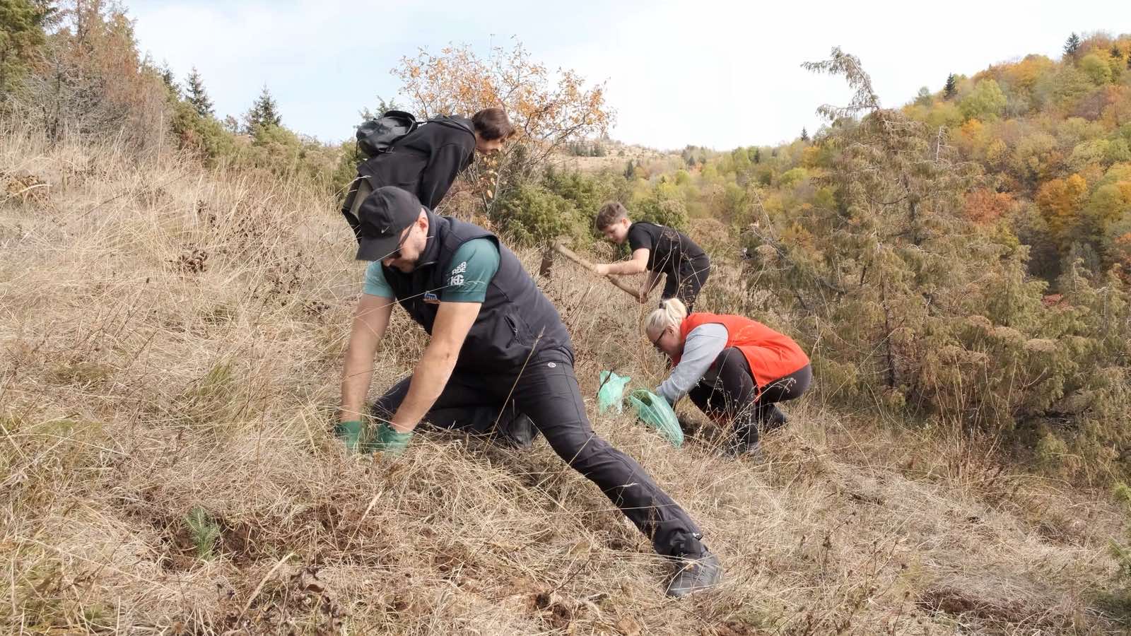 Žar za budućnost: Zasađeno 1.000 sadnica na Igmanu